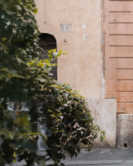 vista frontale di banchi vecchi dalla strada 